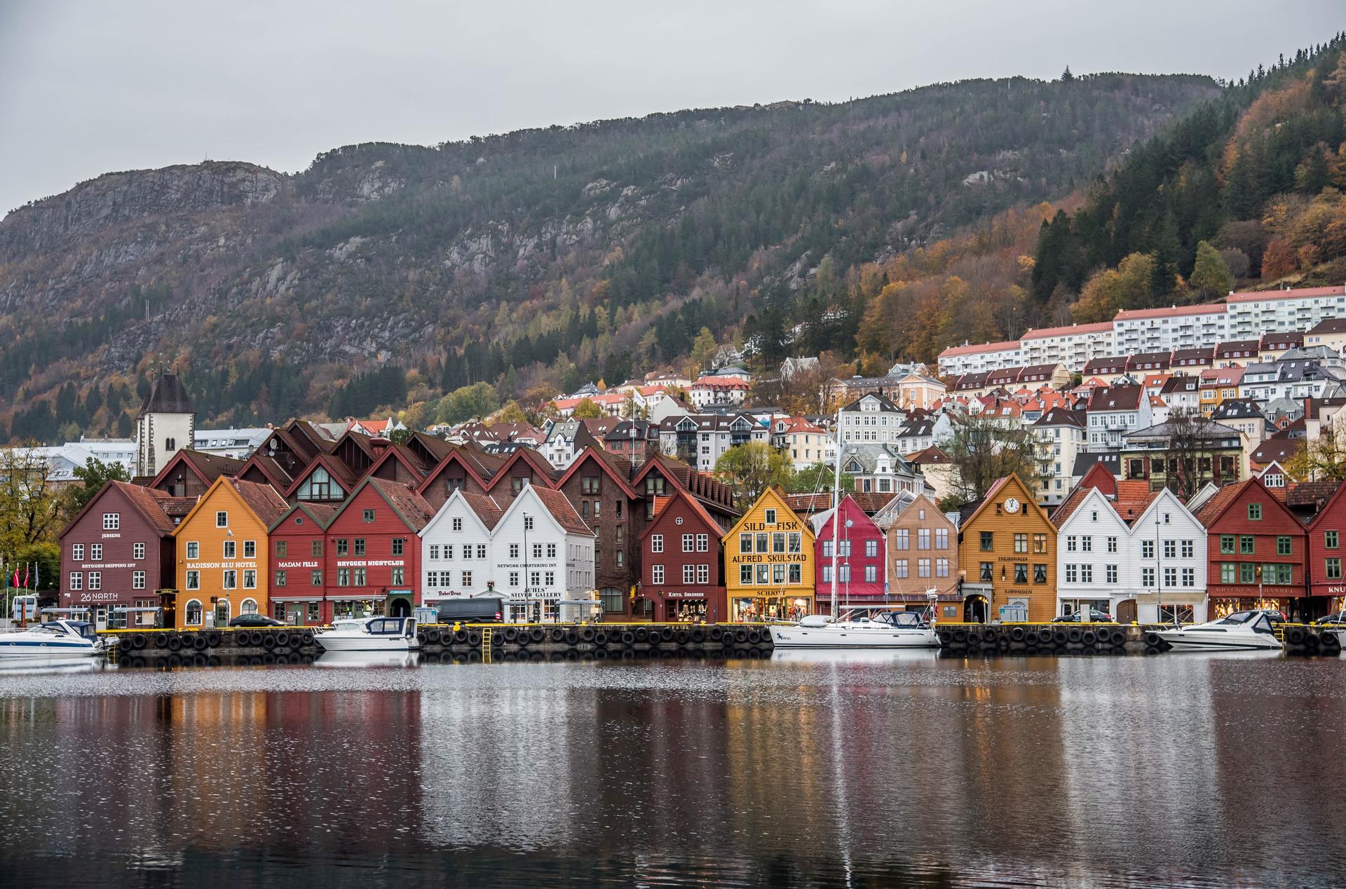 transmedika Bliv lægevikar i Norge