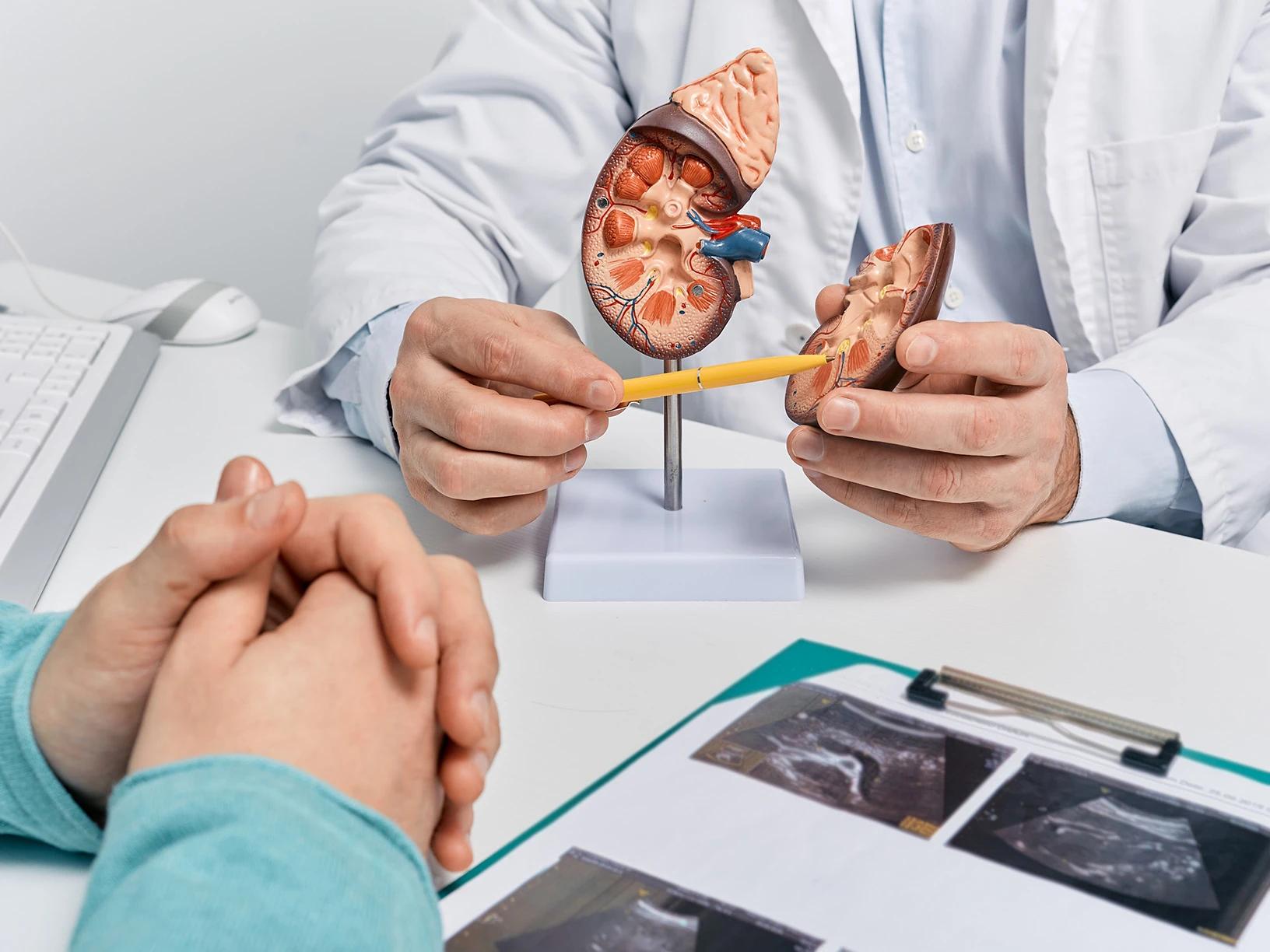 Nefrolog i klinisk arbejde med fokus på nyresygdomme